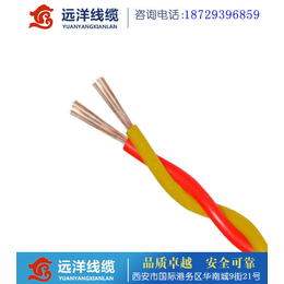重庆双绞线公司(图)|红黄RVS双绞线|永川RVS双绞线