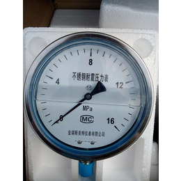 YTN-150耐震压力表水管压力测量