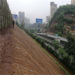 青海海南制造商* 边坡防护 河道整治 植生毯 *冲生物毯