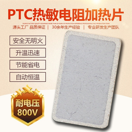 PTC陶瓷发热片 热风机烘干机*PTC发热片厂家陶瓷电热片