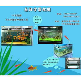 鱼缸玻璃多少钱|方圆鱼缸玻璃厂家(在线咨询)|唐河鱼缸玻璃
