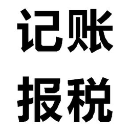 会计代账+税务申报+代理记账