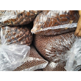 广东*养殖场(图),回收过期面包价格,面包