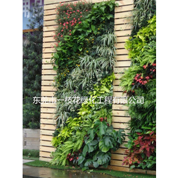 室内绿化墙工程-一枝花绿化工程-室内绿化墙