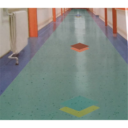 活动中心安装塑胶地板,东阳活动中心塑胶地板,佳禾地板精选品质