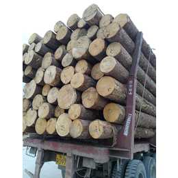 恒豪木材|建筑木材|建筑木材加工厂家