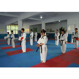 名扬武术学校(图),跆拳道培训课程,万州跆拳道培训