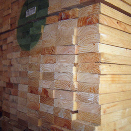建筑木方供应商|建筑木方|日照木材加工厂(查看)
