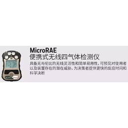 MicroRAE华瑞带GPS定位便携式常规四合一气体报警仪