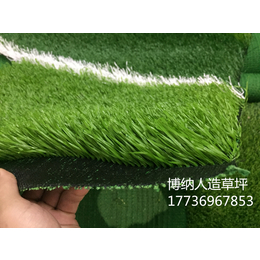 *北京人造草坪丨博纳人造草坪