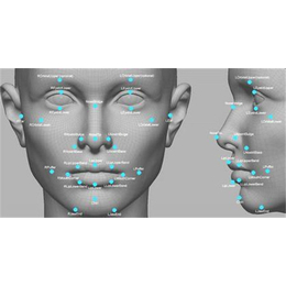 人脸对比咨询-小孔成像科技-人脸对比
