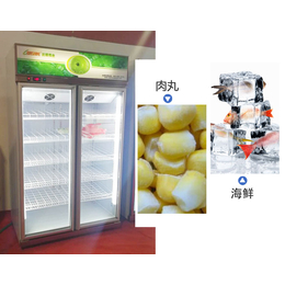 玻璃门速冻柜单价_玻璃门速冻柜_达硕厨房设备制造(查看)