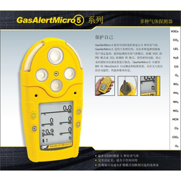 BW M5多气体检测仪