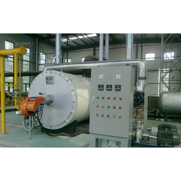 燃气导热油炉供应商|艺能锅炉(在线咨询)|吉林燃气导热油炉