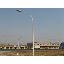 山东农村LED路灯、东龙新能源公司、农村LED路灯供应