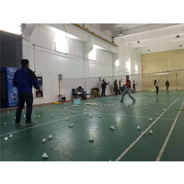 羽毛球培训学校-*体育(在线咨询)-苏州园区羽毛球培训