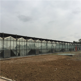 沙市玻璃温室-玻璃温室-武汉玻璃温室建设