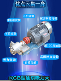 KCB不锈钢小泵增压泵润滑泵大量*
