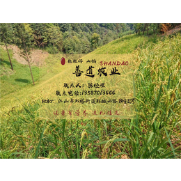 <em>东北</em><em>有机</em><em>大米</em>礼盒_善道农业(在线咨询)_<em>有机</em><em>大米</em>