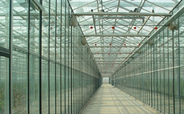 玻璃温室大棚,齐鑫温室园艺,玻璃温室大棚设计