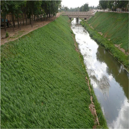 生态*环保草毯(图)-植草毯河道治理-环保草毯