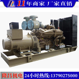 小型发电机|隆昌机电(在线咨询)|广州发电机