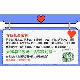 商务礼品礼品-礼品-【天蝎插座】遍销全国(查看)