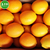 南非原装进口水果 CORE脐橙新鲜饮品橙子榨汁自动榨汁机*缩略图3
