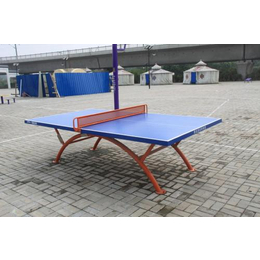 乒乓球台制造|苏州乒乓球台|征途体育(查看)