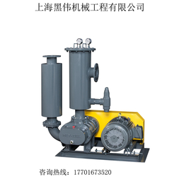 销售真空鼓风机 RSV-40污水处理曝气 