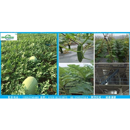 农用地膜质量,硕泰，广西农用地膜厂商(在线咨询),农用地膜