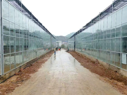 玻璃新型大棚-青州瀚洋农业(在线咨询)-新型大棚