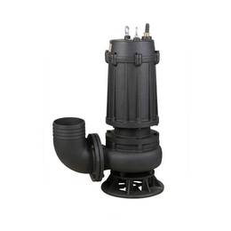 湖里水泵-厦门镒鹏机电-微型水泵