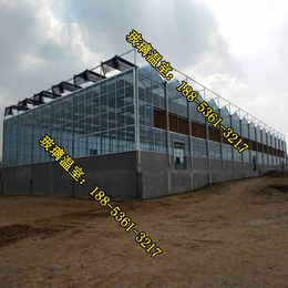 邯郸两千平玻璃温室成本,玻璃温室,衡水建造玻璃温室的厂家