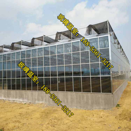 玻璃温室_新型玻璃温室的市场价格_大型玻璃温室如何安装