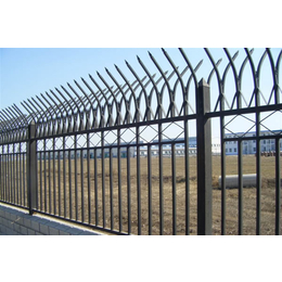 铝艺阳台栅栏,山东塑钢护栏(在线咨询),天水栅栏