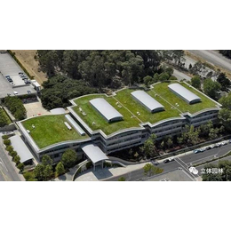 永安市盛鼎业生态多孔纤维棉为基质的屋顶绿化