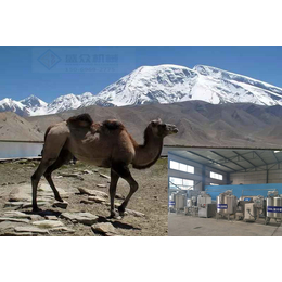 小型骆驼奶生产流水线骆驼奶生产线厂家哪里有