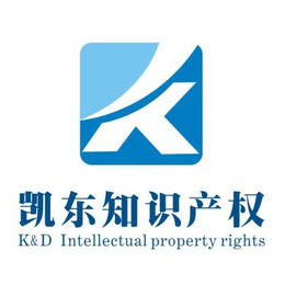 广州市研究开发机构建设专项-凯东知识产权