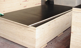 工程用建筑模板-沧州建筑模板-国鲁工贸木材加工厂