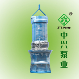 山东350QZB立式安装轴流泵 ztepump