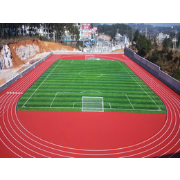 唐山风雨化操场项目-足球场工程-人造草坪足球场施工