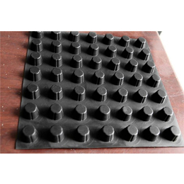 唐能工程(在线咨询)-高强度塑料排水板-高强度塑料排水板价格