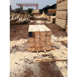 泰州辐射松木方|建筑方木厂家|辐射松木方哪里卖