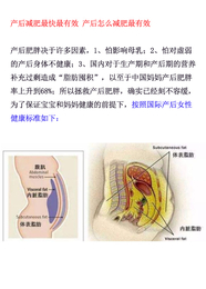 生完宝宝该怎么*-生完孩子肚子大怎么减-生完孩子