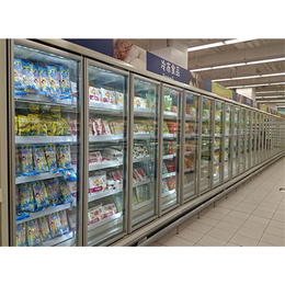 比斯特冷冻柜品质保障,立式超市冷冻柜厂家,广东超市冷冻柜