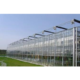 玻璃温室承建|青州鑫和温室园艺公司|山东玻璃温室
