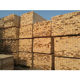 国鲁工贸(在线咨询)、木材加工、辐射松木材加工