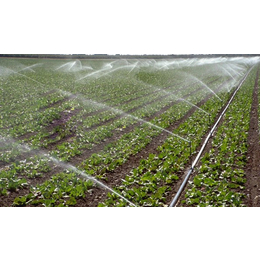 广西滴灌喷灌、滴灌喷灌设备、广西宏振灌溉公司