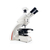 徕卡显微镜DM750生物显微镜缩略图2